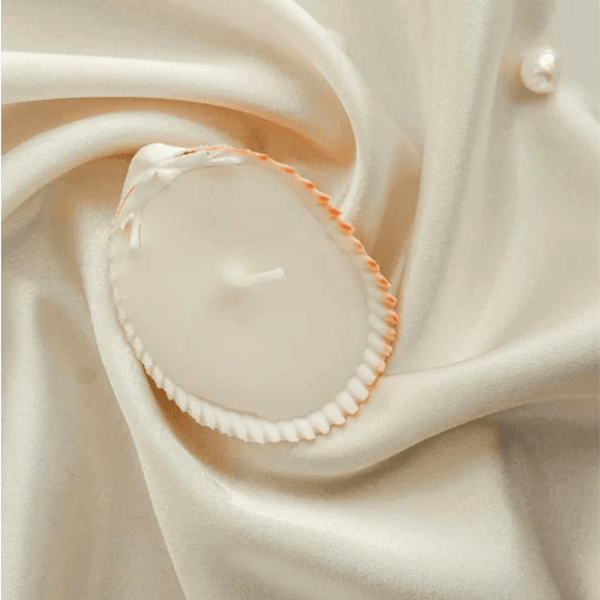 Seashell