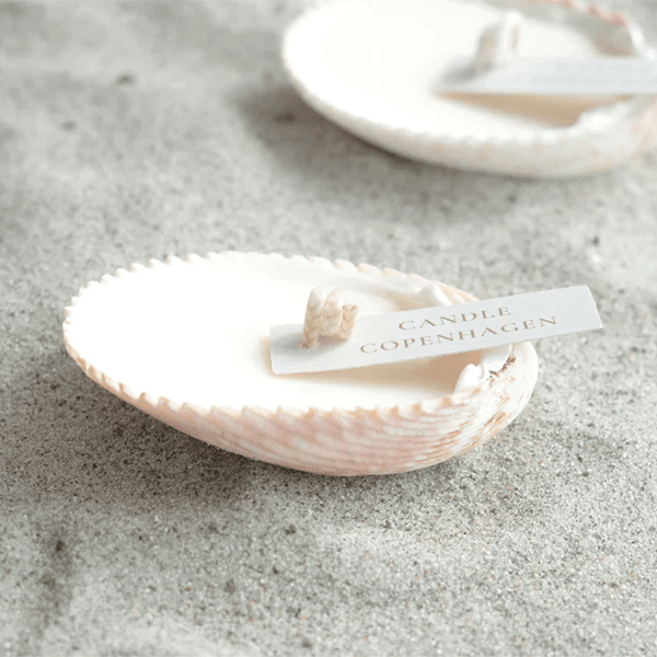 Seashell - Billede 2