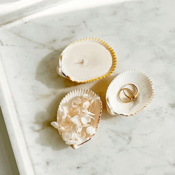 Seashell - Billede 3